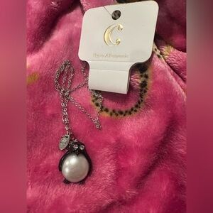 Charming Charlie Silver and Black Penguin Pendant Necklace